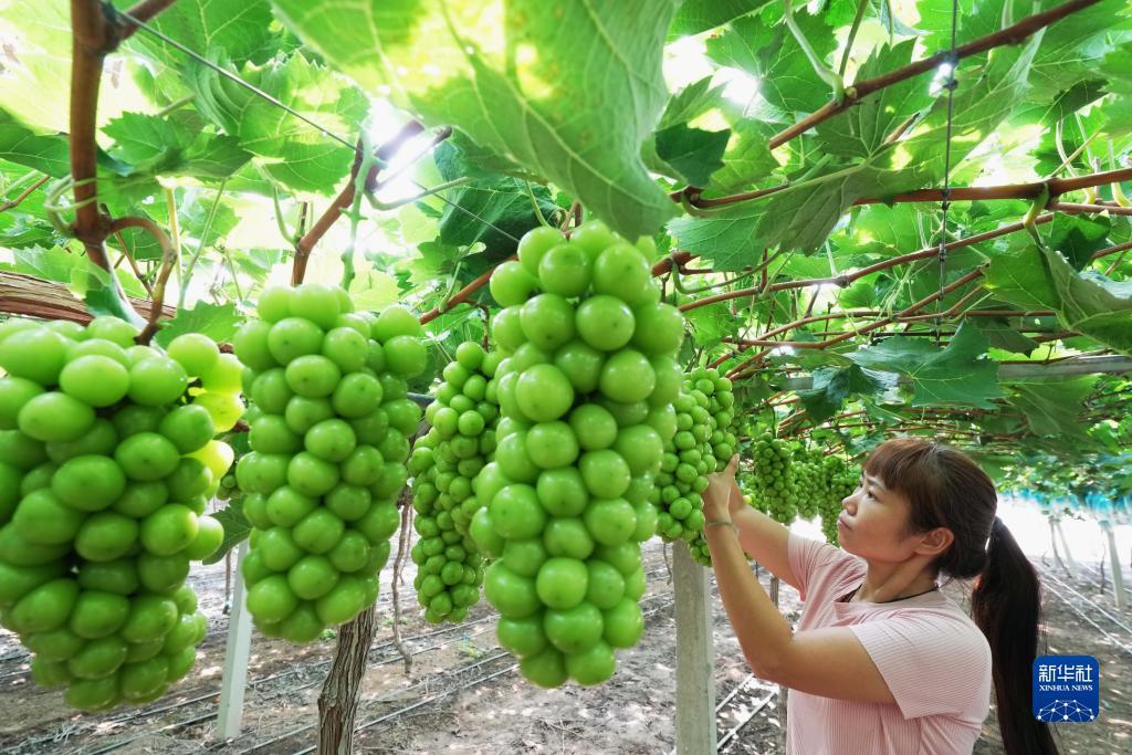 澳门一号游戏官网多少